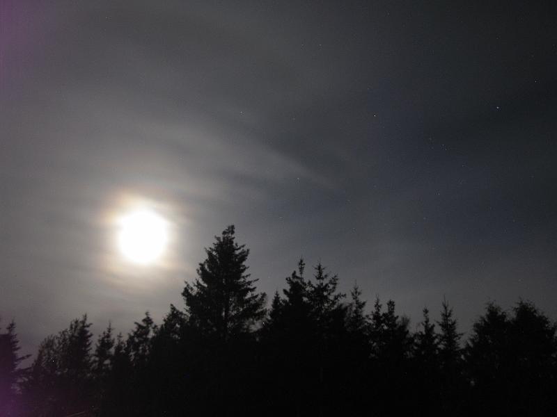 IMG_8137.JPG - Photos prises en utilisant CHDK - Allbest.